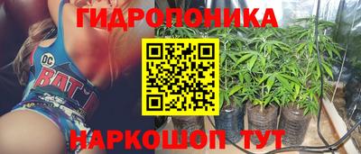 индика Малоярославец